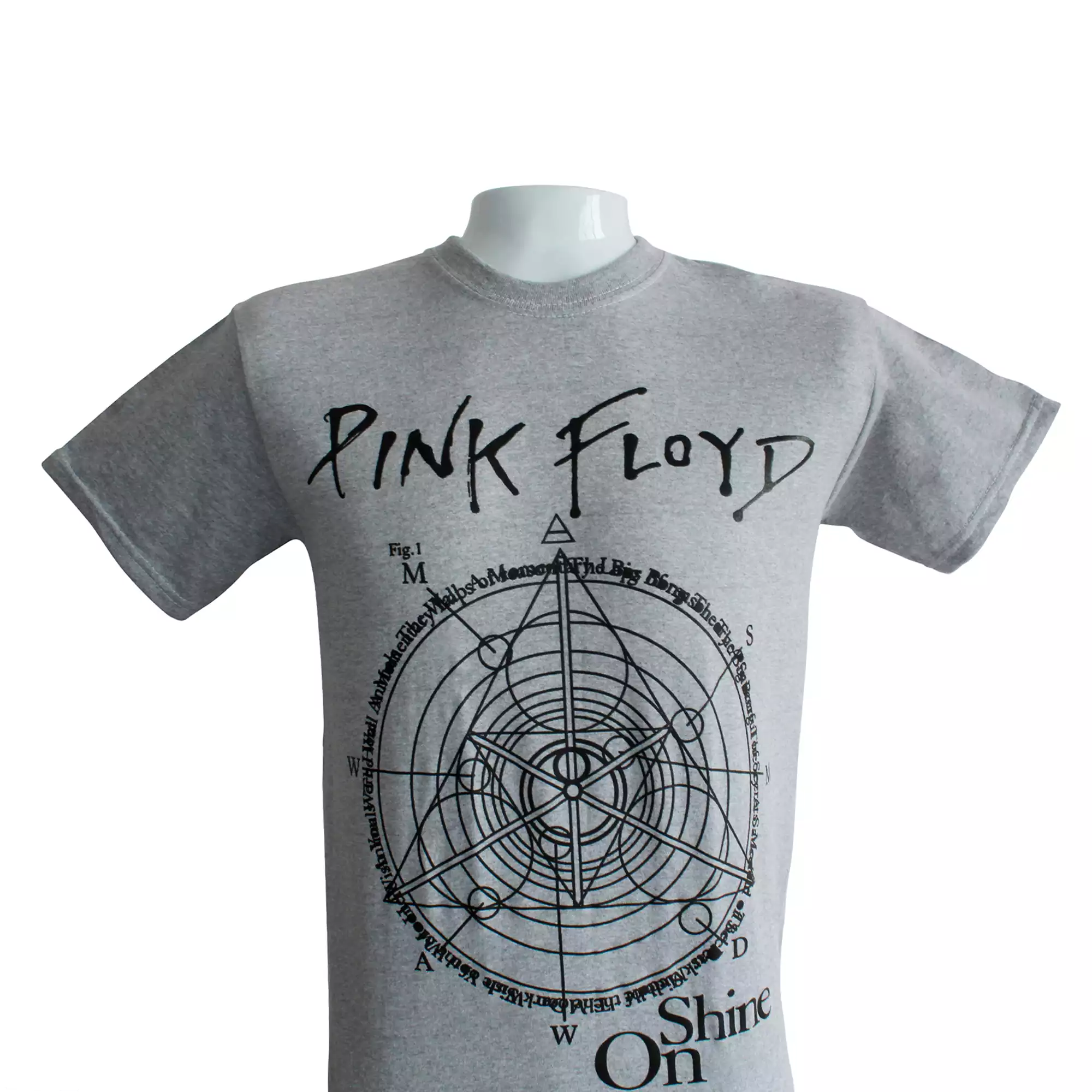 CAMISETA PINK FLOID UNISEX COLOR GRIS DAMS COL